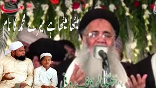 Naat sharif 2024  Meetha Meetha Hai Mere Muhammad Ka Naam  New Rabi Ul Awwal Naat 2024 [upl. by Uwton]