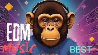 Beste EDM Musik 2024  EDM Tanz Musik 2024  Auto Musik  Populärer Remix  Musik Mix [upl. by Oos]