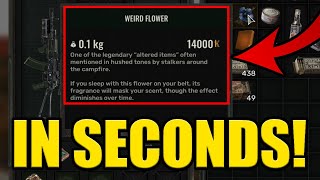 STALKER 2 LEGENDARY ARTIFACT LOCATION WEIRD FLOWER ✅ [upl. by Marinna760]