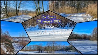 Sneeuw in de Doort januari 2024 [upl. by Allecnirp]