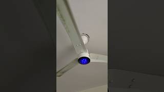 BLDC Ceiling Fan 😉 fan shortvideo fansound shorts viralvideo [upl. by Ahsir]