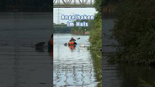 Angelhaken im Hals tierrettung animalrescue tiernotruf schwan [upl. by Eerpud]