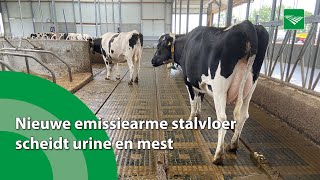 Nieuwe emissiearme stalvloer scheidt urine en mest [upl. by Rucker189]