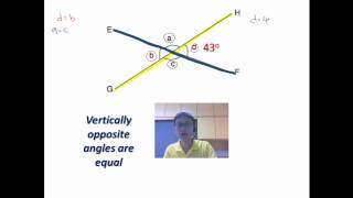 Vertically opposite angles [upl. by Enixam]