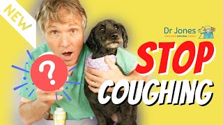 Coughing Dog Try this NEW Remedy [upl. by Sprage772]