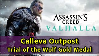 Assassins Creed Valhalla  Calleva Outpost Wolf Mastery Challenge  Gold Medal [upl. by Barna560]