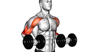 Best Bicep Exercises You Should Be Doing Dumbbell Only [upl. by Notyard]