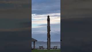 Eagle on a totem poll eagle oceanwaves seagulls windyday shortsfeed shortsvideo [upl. by Attennek866]