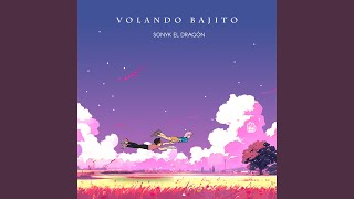 Volando Bajito [upl. by Brigida522]