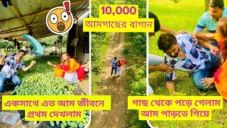 গাছ থেকে পড়ে গেলাম আম পাড়তে গিয়ে😨 10000 আমগাছের বাগান😱 একসাথে এত আমগাছ জীবনে প্রথম দেখলাম [upl. by Remled]