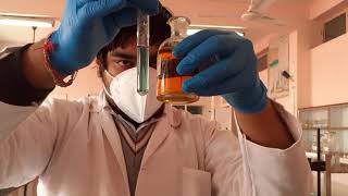 Test for SULPHITE ion  Anion Analysis class 11 and 12 chemistry practicals [upl. by Chaim]