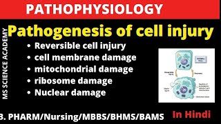 Pathogenesis of Cell Injury Reversible Cell InjuryHindiB PharmNursingBSc Pathophysiology [upl. by Ocana]