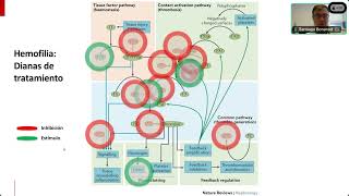 241104 Update en Hemofilia  Webinar FARUPEIB [upl. by Heng]