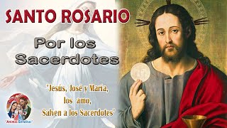 SANTO ROSARIO POR LOS SAERDOTES [upl. by Ameluz]