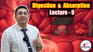 Digestion amp Absorption l Lecture 9 l Biology l NEET [upl. by Charbonnier]