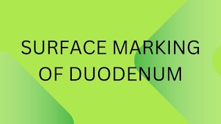 Surface marking of duodenum [upl. by Demetra]