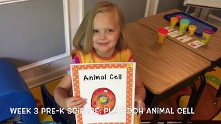 Week 3 PreK Science For Kids  Building a Playdoh Animal Cell [upl. by Ahsened175]