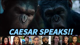 Reactors React To Caesar Speaking in Rise amp Dawn of The Planet of The Apes [upl. by Fridell]