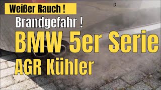 BMW AGR Kühler oder Zylinderkopfdichtung defekt weißer Rauch aus dem Auspuff  Diesel F11 525d [upl. by Orji448]