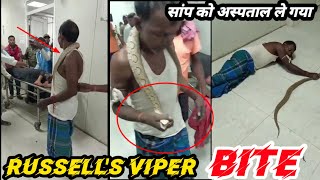 RUSSELLS VIPER BITE।। HOSPITAL with snake।। सांप को पकड़ना।। Dad or Alive।। [upl. by Edualcnaej]