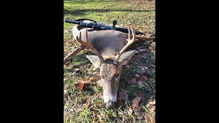 2023 deer hunt  350 Legend [upl. by Ronda79]