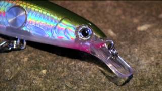 Clackin Minnow [upl. by Hollis]