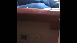 Anand Vihar Bhagalpur GARIB RATH 3 AC Amazing Seat LayoutSide Middle Berth😱😱 [upl. by Iridissa]