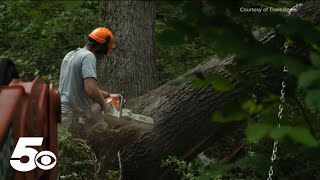 Bentonville says reopening of cycling trails underway after storm cleanup [upl. by Dow457]