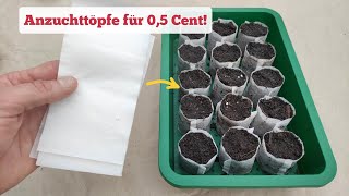 die DIY Anzuchttöpfe sind genial amp kosten 05 Cent [upl. by Leirud]