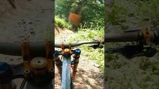 shorts 263  VTT MTB DH ENDURO RIDING [upl. by Wally476]