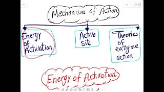 Naming and Mechanism of action of enzymes [upl. by Krys]