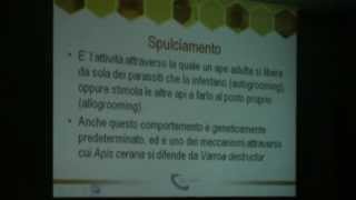 Apicoltura Gestione dellapiario aspetti tecnici e sanitari [upl. by Eilah]