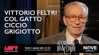 Vittorio Feltri e il gatto Ciccio Grigiotto [upl. by Adiam]