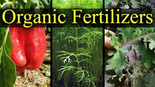 Organic Fertilizers  My Top 5 Choices For 2021 [upl. by Ezaria]