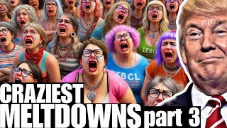 BEST MELTDOWNS after Donald Trumps victory [upl. by Nywrad698]