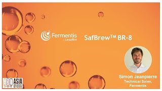 Mastering Fermentis SafBrew™ BR8 [upl. by Nonnel349]