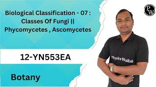 Biological Classification  07  Classes Of Fungi  Phycomycetes  Ascomycetes [upl. by Einuj]