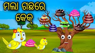 Mala Gachare Cake  Odia Cartoon Odia Bird StoriesOdia Chadhei Gapa Odia Moral Story Odia Gapa [upl. by Almire376]