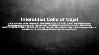 Medical vocabulary What does Interstitial Cells of Cajal mean [upl. by Reinal]