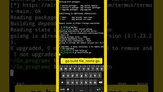 Run GO program in Termux  using golang package in Termux golangdevelopment golang goprogramming [upl. by Ellenoj740]