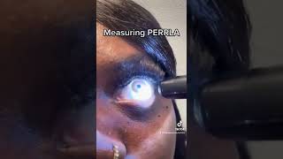 How to measure PERRLA  using penlight [upl. by Hoban]