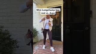 Real Mini Longchamp Bag vs Amazon dupe and which is better [upl. by Stormi]