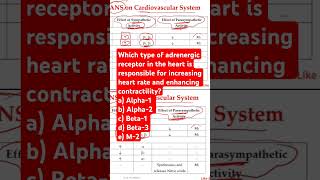 Which type of adrenergic receptor in the heart [upl. by Roots934]