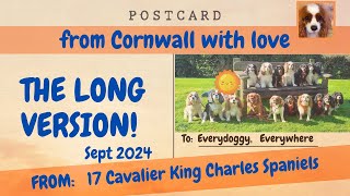 Cavaliers in Cornwall 2024 THE LONG VERSION [upl. by Trah39]