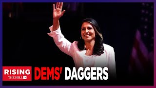 Tulsi Gabbard TERRIFIES Dems Because Shell CLEAN HOUSE At DNI Michael Shellenberger [upl. by Arand]