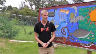 Potoroo Palace Merimbula Review in Dutch from Alex by Grasshopper Travel [upl. by Mountford]