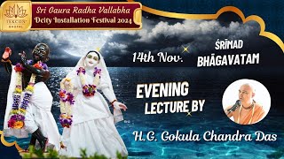 LIVE 14th Nov Evening Lecture By HG Gokul Chandra Das [upl. by Niwrehs]