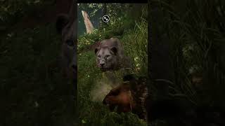 ترويض كامل حيونات Far cry PRIMAL [upl. by Oaoj]