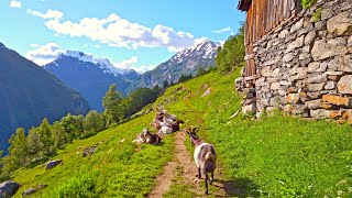 Walking around Geiranger most beautiful Village of Norway [upl. by Attener440]