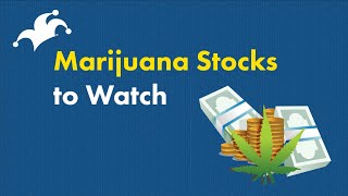 Marijuana Stocks Which Ones are the Best Buys [upl. by Adihahs]